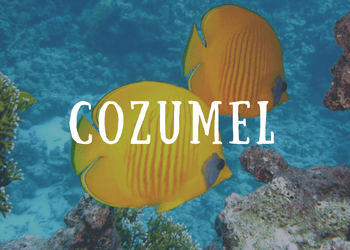 Cozumel Wedding Locations